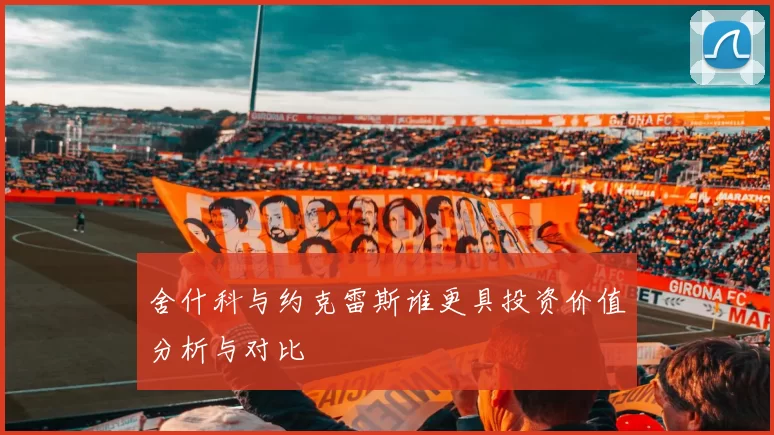 舍什科与约克雷斯谁更具投资价值分析与对比