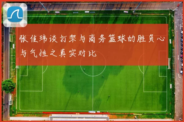 张佳玮谈打架与商务篮球的胜负心与气性之真实对比